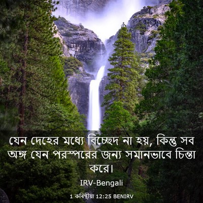 Picture 03 - 1 কৰিন্থীয়া 12:25 BENIRV - যেন দেহের মধ্যে - Bible Verse Picture