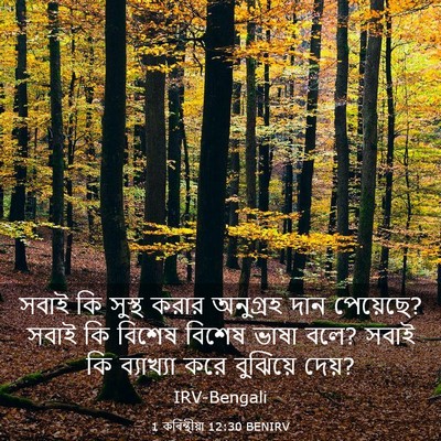 Picture 03 - 1 কৰিন্থীয়া 12:30 BENIRV - সবাই কি সুস্থ করার - Bible Verse Picture