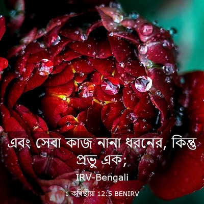 Picture 03 - 1 কৰিন্থীয়া 12:5 BENIRV - এবং সেবা কাজ নানা - Bible Verse Picture