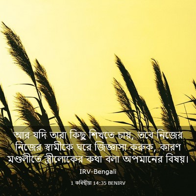 Picture 03 - 1 কৰিন্থীয়া 14:35 BENIRV - আর যদি তারা কিছু - Bible Verse Picture