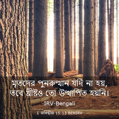 Picture 03 - 1 কৰিন্থীয়া 15:13 BENIRV - মৃতদের পুনরুত্থান - Bible Verse Picture