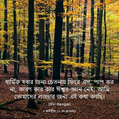 Picture 03 - 1 কৰিন্থীয়া 15:34 BENIRV - ধার্মিক হবার জন্য - Bible Verse Picture