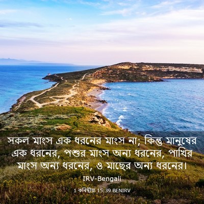 Picture 03 - 1 কৰিন্থীয়া 15:39 BENIRV - সকল মাংস এক ধরনের - Bible Verse Picture
