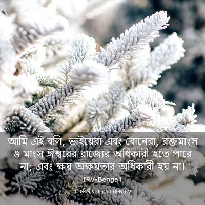 Picture 03 - 1 কৰিন্থীয়া 15:50 BENIRV - আমি এই বলি, - Bible Verse Picture