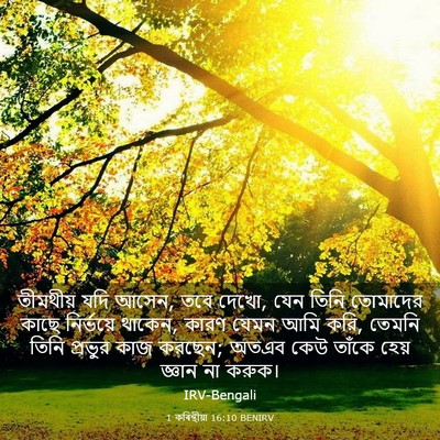 Picture 03 - 1 কৰিন্থীয়া 16:10 BENIRV - তীমথীয় যদি আসেন, - Bible Verse Picture