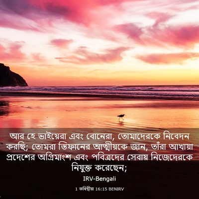 Picture 03 - 1 কৰিন্থীয়া 16:15 BENIRV - আর হে ভাইয়েরা এবং - Bible Verse Picture