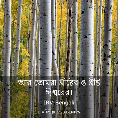 Picture 03 - 1 কৰিন্থীয়া 3:23 BENIRV - আর তোমরা - Bible Verse Picture
