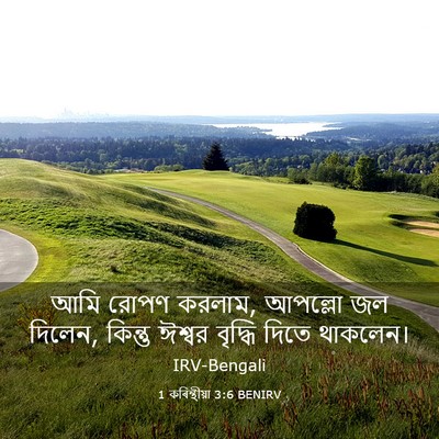 Picture 03 - 1 কৰিন্থীয়া 3:6 BENIRV - আমি রোপণ করলাম, - Bible Verse Picture