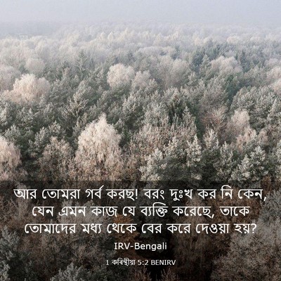 Picture 03 - 1 কৰিন্থীয়া 5:2 BENIRV - আর তোমরা গর্ব করছ! - Bible Verse Picture
