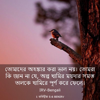 Picture 03 - 1 কৰিন্থীয়া 5:6 BENIRV - তোমাদের অহঙ্কার - Bible Verse Picture