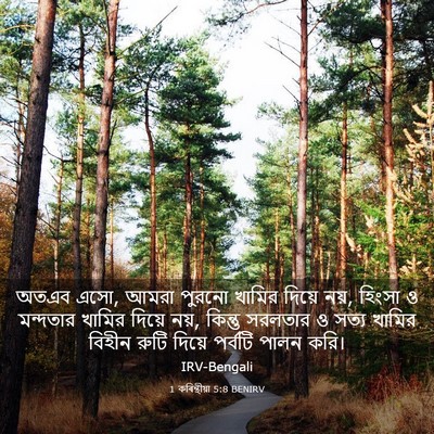 Picture 03 - 1 কৰিন্থীয়া 5:8 BENIRV - অতএব এসো, আমরা - Bible Verse Picture