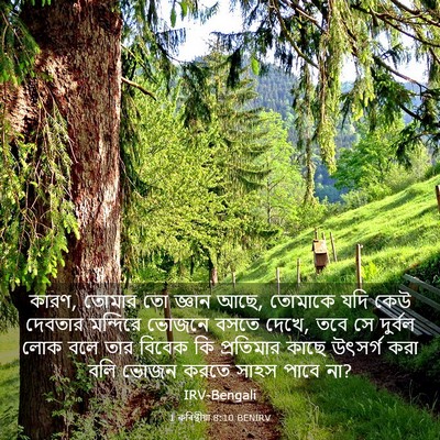 Picture 03 - 1 কৰিন্থীয়া 8:10 BENIRV - কারণ, তোমার তো - Bible Verse Picture