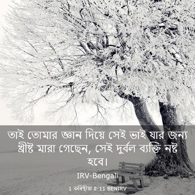 Picture 03 - 1 কৰিন্থীয়া 8:11 BENIRV - তাই তোমার জ্ঞান - Bible Verse Picture