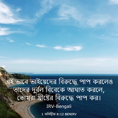Picture 03 - 1 কৰিন্থীয়া 8:12 BENIRV - এই ভাবে ভাইয়েদের - Bible Verse Picture