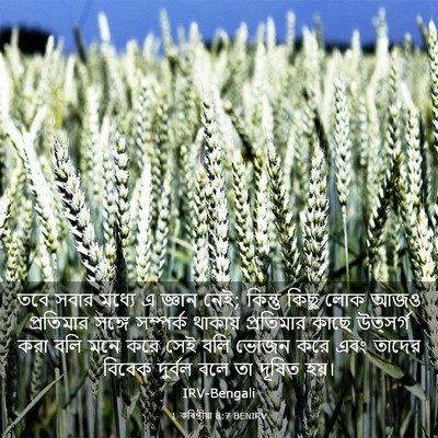 Picture 03 - 1 কৰিন্থীয়া 8:7 BENIRV - তবে সবার মধ্যে এ - Bible Verse Picture