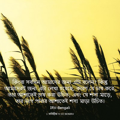 Picture 03 - 1 কৰিন্থীয়া 9:10 BENIRV - কিংবা সবদিন - Bible Verse Picture