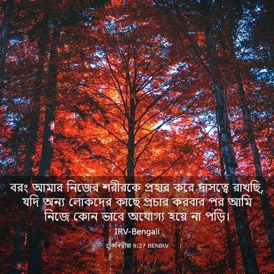 Picture 03 - 1 কৰিন্থীয়া 9:27 BENIRV - বরং আমার নিজের - Bible Verse Picture