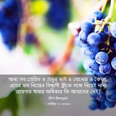 Picture 03 - 1 কৰিন্থীয়া 9:5 BENIRV - অন্য সব প্রেরিত ও - Bible Verse Picture