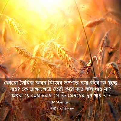 Picture 03 - 1 কৰিন্থীয়া 9:7 BENIRV - কোনো সৈনিক কখন - Bible Verse Picture