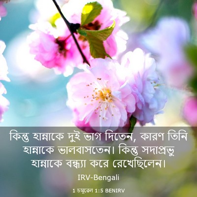 Picture 03 - 1 চমূৱেল 1:5 BENIRV - কিন্তু হান্নাকে - Bible Verse Picture