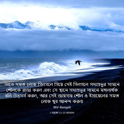 Picture 03 - 1 চমূৱেল 11:15 BENIRV - তাতে সমস্ত লোক - Bible Verse Picture