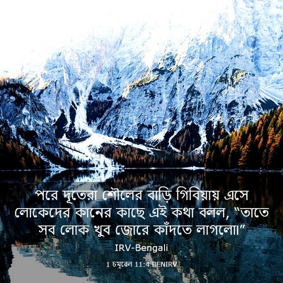 Picture 03 - 1 চমূৱেল 11:4 BENIRV - পরে দূতেরা শৌলের - Bible Verse Picture
