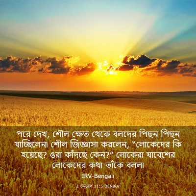 Picture 03 - 1 চমূৱেল 11:5 BENIRV - পরে দেখ, শৌল ক্ষেত - Bible Verse Picture