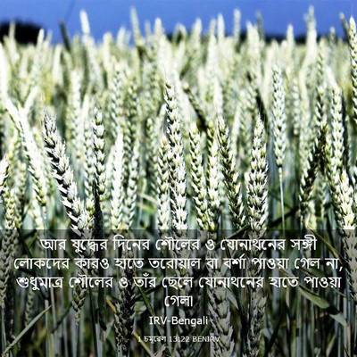 Picture 03 - 1 চমূৱেল 13:22 BENIRV - আর যুদ্ধের দিনের - Bible Verse Picture