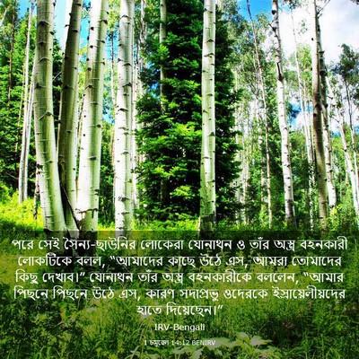 Picture 03 - 1 চমূৱেল 14:12 BENIRV - পরে সেই - Bible Verse Picture