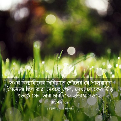 Picture 03 - 1 চমূৱেল 14:16 BENIRV - তখন বিন্যামীনের - Bible Verse Picture