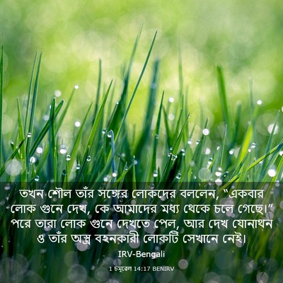 Picture 03 - 1 চমূৱেল 14:17 BENIRV - তখন শৌল তাঁর - Bible Verse Picture