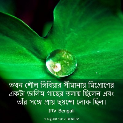 Picture 03 - 1 চমূৱেল 14:2 BENIRV - তখন শৌল গিবিয়ার - Bible Verse Picture