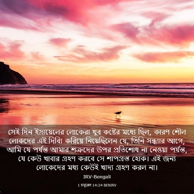 Picture 03 - 1 চমূৱেল 14:24 BENIRV - সেই দিন - Bible Verse Picture