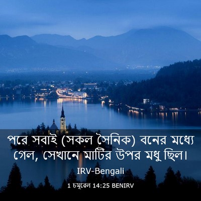 Picture 03 - 1 চমূৱেল 14:25 BENIRV - পরে সবাই (সকল - Bible Verse Picture