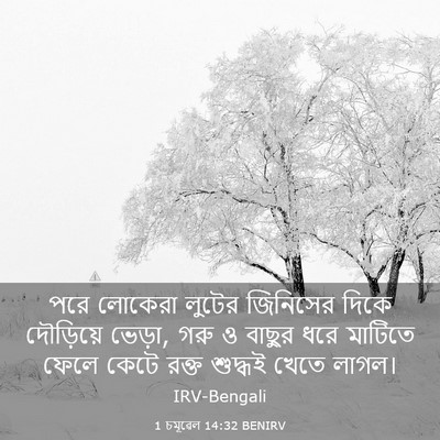 Picture 03 - 1 চমূৱেল 14:32 BENIRV - পরে লোকেরা লুটের - Bible Verse Picture