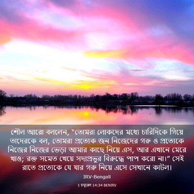 Picture 03 - 1 চমূৱেল 14:34 BENIRV - শৌল আরো বললেন, - Bible Verse Picture