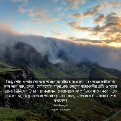 Picture 03 - 1 চমূৱেল 15:9 BENIRV - কিন্তু শৌল ও তাঁর - Bible Verse Picture