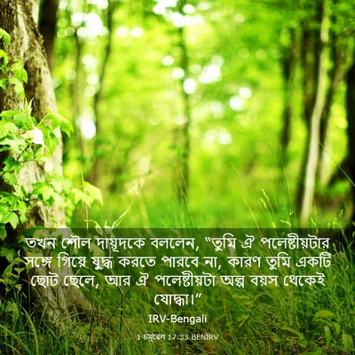 Picture 03 - 1 চমূৱেল 17:33 BENIRV - তখন শৌল দায়ূদকে - Bible Verse Picture