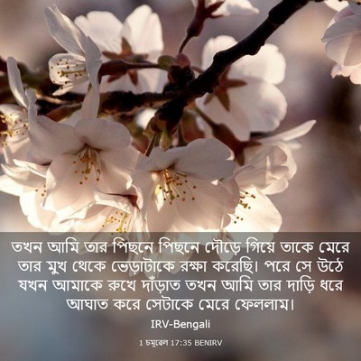 Picture 03 - 1 চমূৱেল 17:35 BENIRV - তখন আমি তার পিছনে - Bible Verse Picture