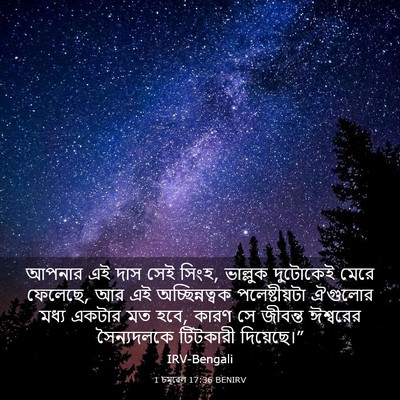 Picture 03 - 1 চমূৱেল 17:36 BENIRV - আপনার এই দাস সেই - Bible Verse Picture