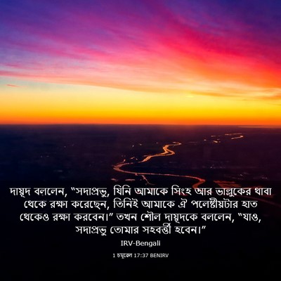 Picture 03 - 1 চমূৱেল 17:37 BENIRV - দায়ূদ বললেন, - Bible Verse Picture