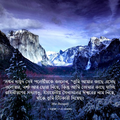 Picture 03 - 1 চমূৱেল 17:45 BENIRV - তখন দায়ূদ সেই - Bible Verse Picture