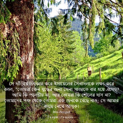 Picture 03 - 1 চমূৱেল 17:8 BENIRV - সে দাঁড়িয়ে - Bible Verse Picture