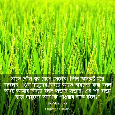 Picture 03 - 1 চমূৱেল 18:8 BENIRV - তাতে শৌল খুব রেগে - Bible Verse Picture