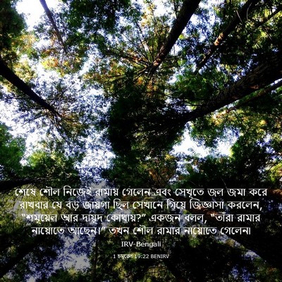 Picture 03 - 1 চমূৱেল 19:22 BENIRV - শেষে শৌল নিজেই - Bible Verse Picture