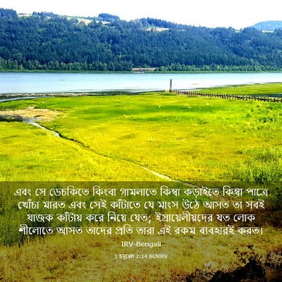 Picture 03 - 1 চমূৱেল 2:14 BENIRV - এবং সে ডেচকিতে - Bible Verse Picture
