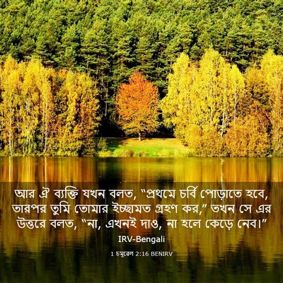 Picture 03 - 1 চমূৱেল 2:16 BENIRV - আর ঐ ব্যক্তি যখন - Bible Verse Picture