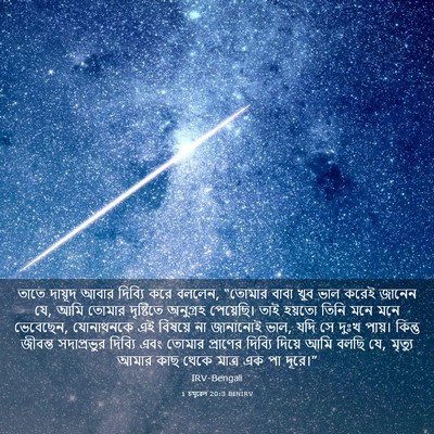 Picture 03 - 1 চমূৱেল 20:3 BENIRV - তাতে দায়ূদ আবার - Bible Verse Picture