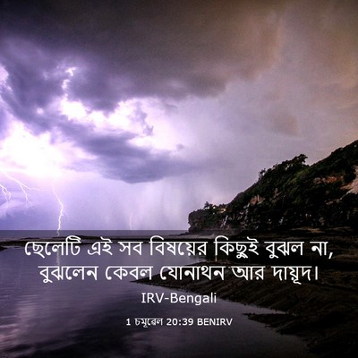 Picture 03 - 1 চমূৱেল 20:39 BENIRV - ছেলেটি এই সব - Bible Verse Picture