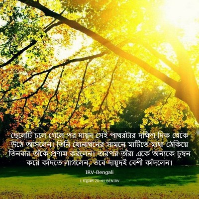Picture 03 - 1 চমূৱেল 20:41 BENIRV - ছেলেটি চলে গেলে পর - Bible Verse Picture